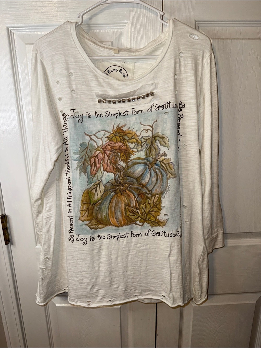 A Rare Bird White Long-Sleeve Graphic Tee - Gratitude Pumpkin Design